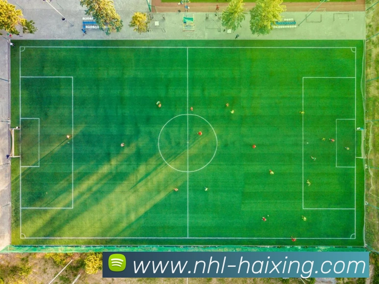 海星体育服务体系